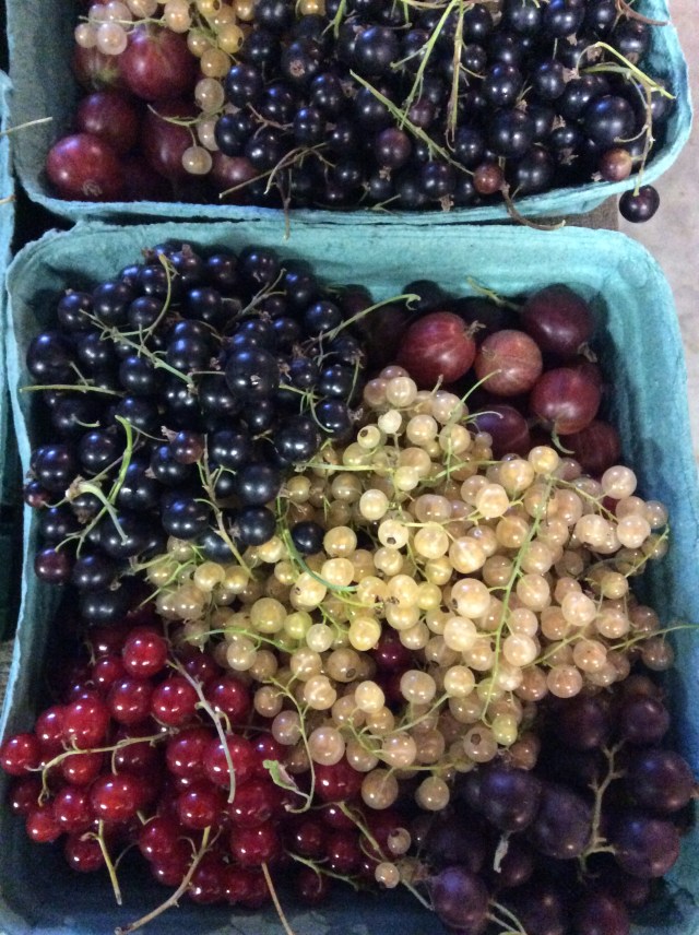 SilverRillBerrySummerPudding